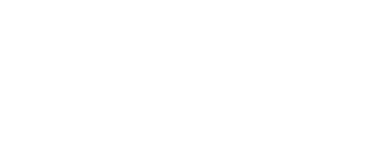 Logo of Stribo Ltd